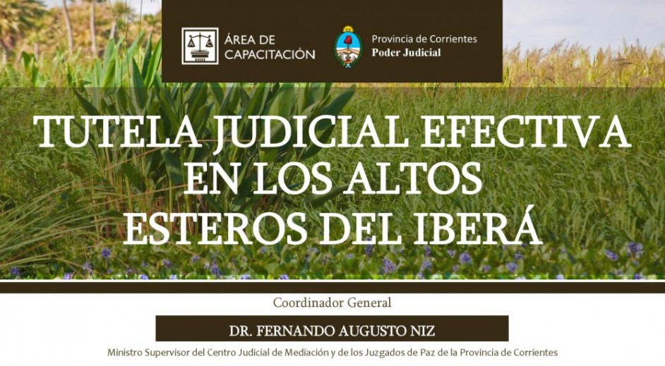 Jornada sobre Tutela Judicial Efectiva en los Altos Esteros del Iberá