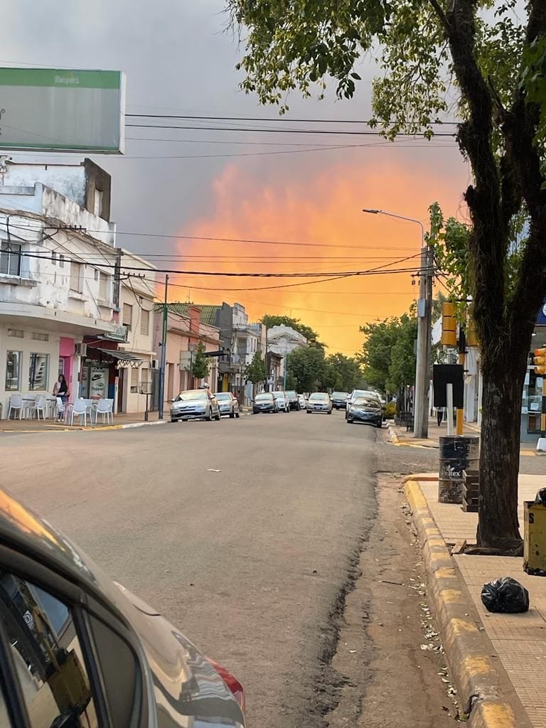 Comunicado de la FAM en solidaridad por la situación de los incendios en Corrientes